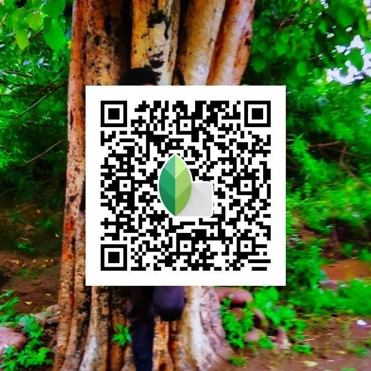 Bright vibrant snapseed qr code