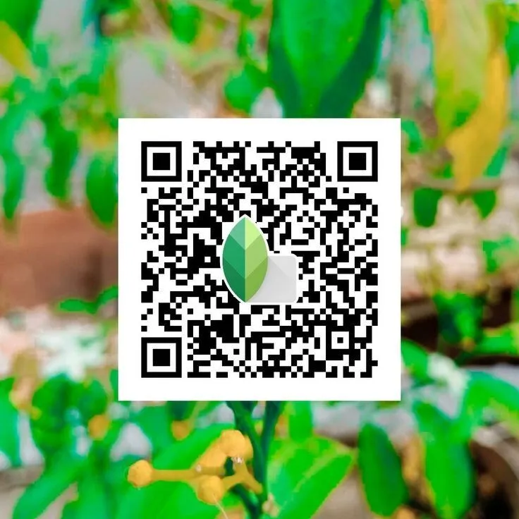 Bright vibrant snapseed qr code