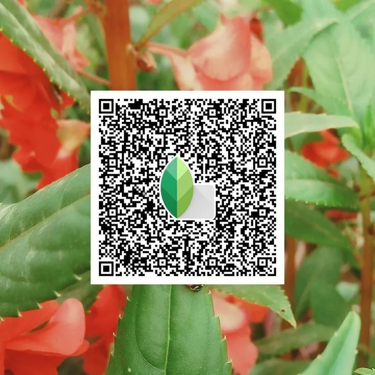 Bright vibrant snapseed qr code