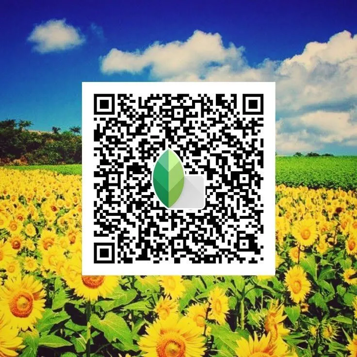 Bright vibrant snapseed qr code