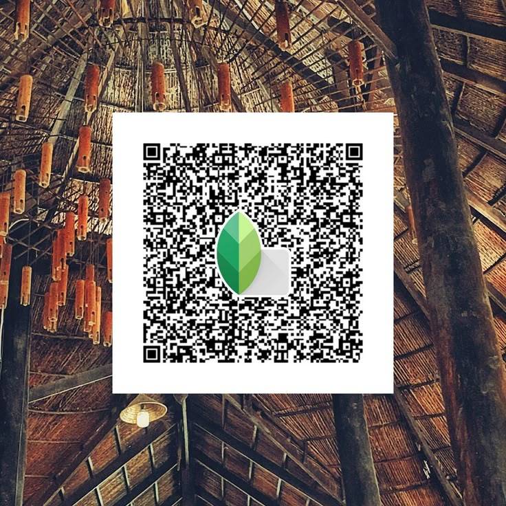 Cinematic Vibe Snapseed qr code