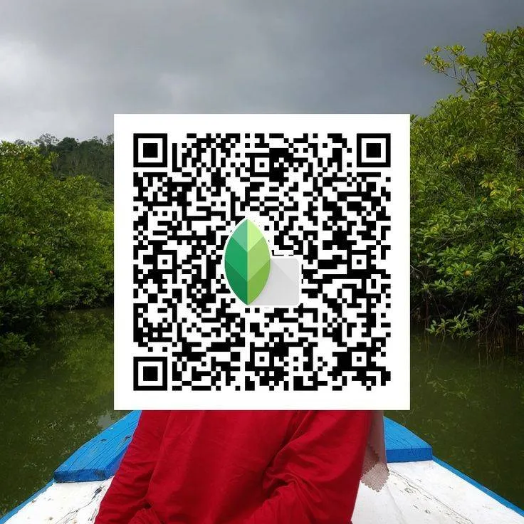 Cinematic Vibe Snapseed qr code