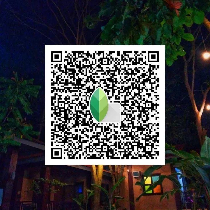 Cinematic Vibe Snapseed qr code