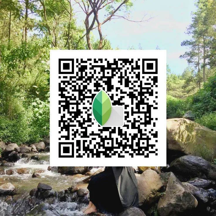 Cinematic Vibe Snapseed qr code