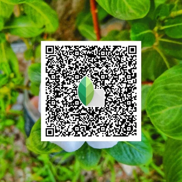 Cool-Tones-Snapseed-QR-Code