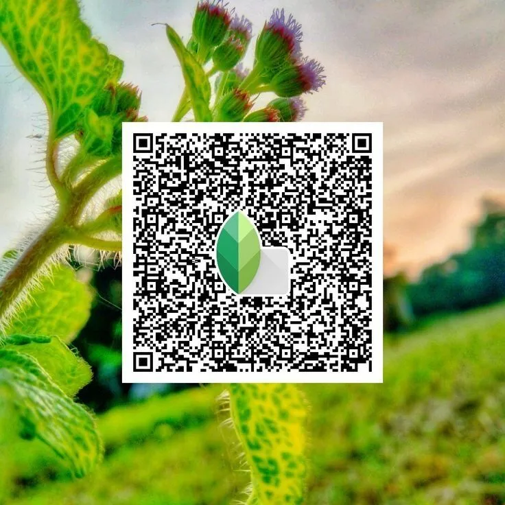 Cool-Tones-Snapseed-QR-Code