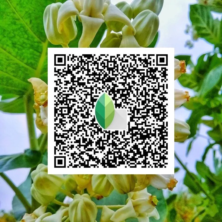 Cool-Tones-Snapseed-QR-Code
