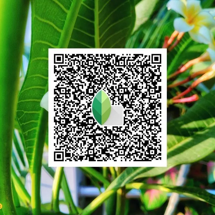 Cool-Tones-Snapseed-QR-Code