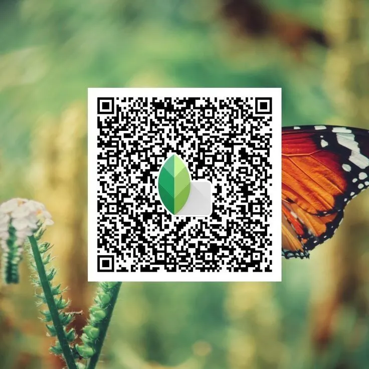 Cool-Tones-Snapseed-QR-Code