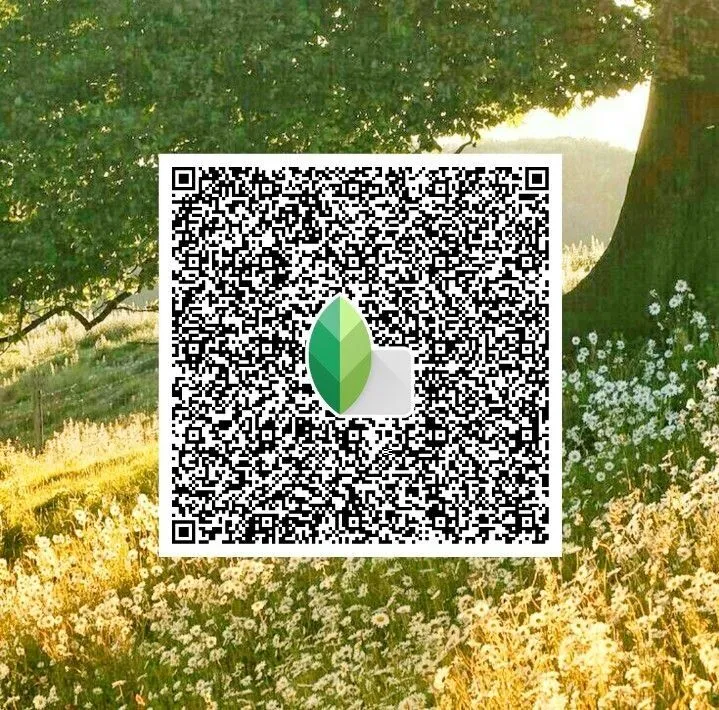 Golden hour Snapseed qr code