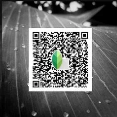 Moody black & white snapseed qr code