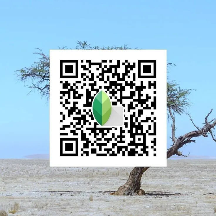 pastel dream Snapseed qr code