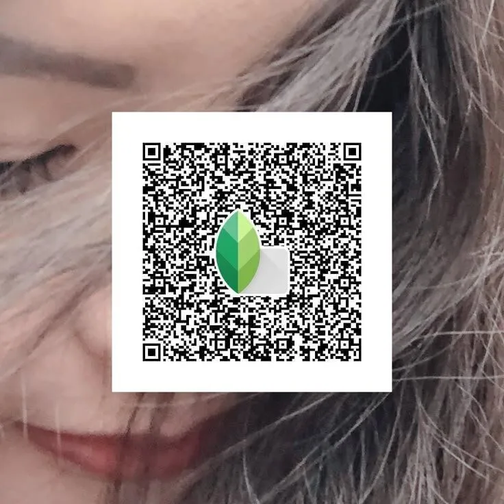 Snapseed QR Codes Filter Effects