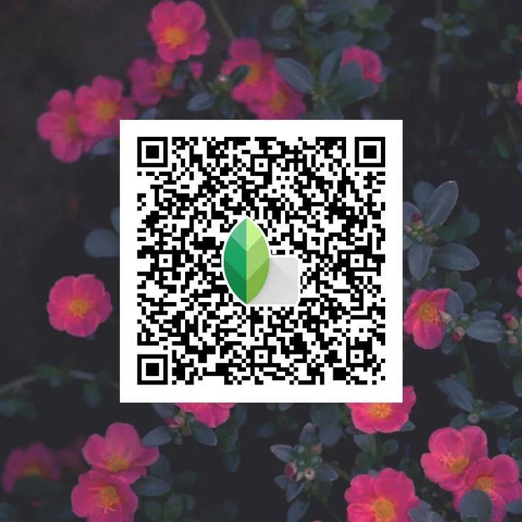 pastel dream Snapseed qr code