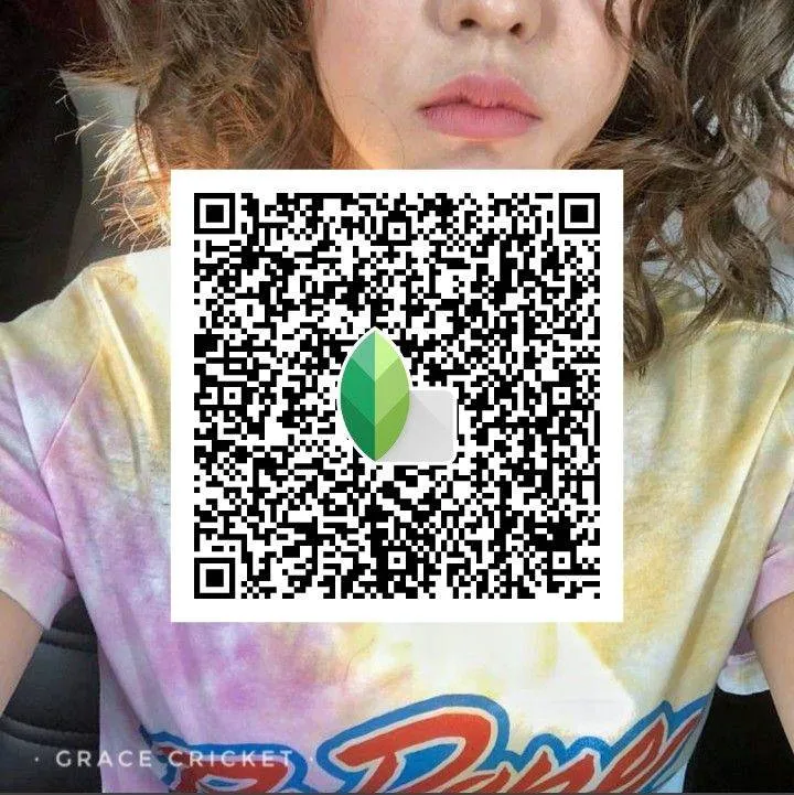 Aesthetic Snapseed qr  code