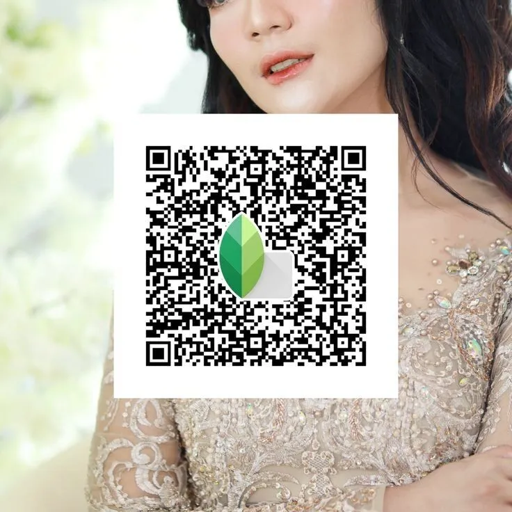 Snapseed QR Codes Filter Effects