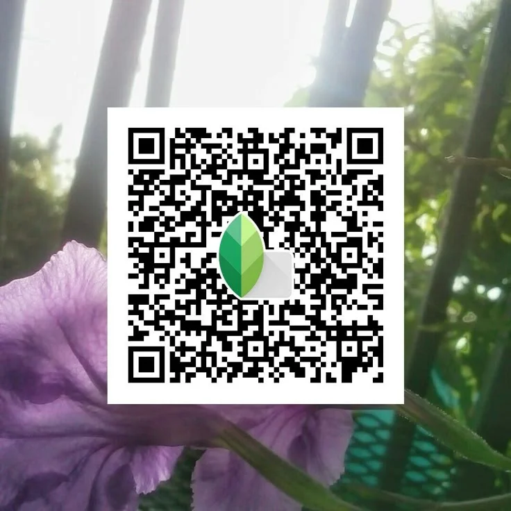 Blur Background Snapseed QR code