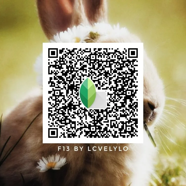 Blur Background Snapseed QR code