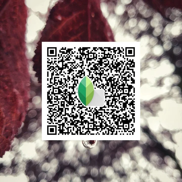 Blur Background Snapseed QR code