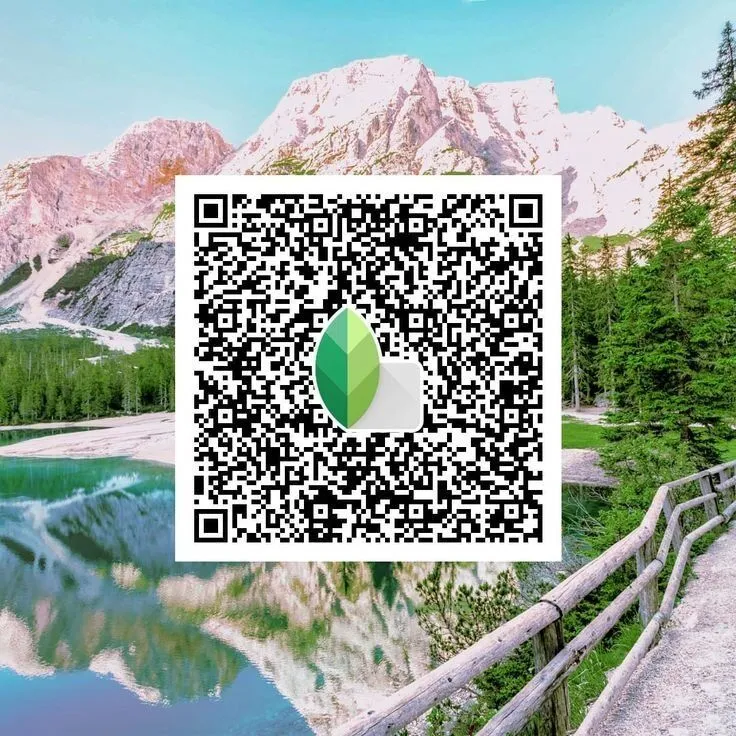 Aesthetic Snapseed qr  code