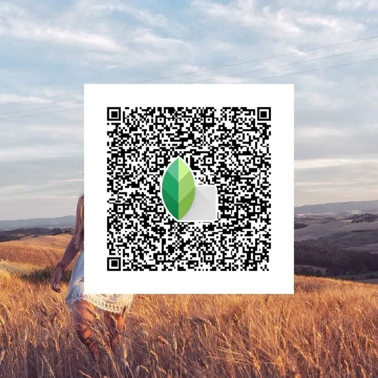 Aesthetic Snapseed qr  code
