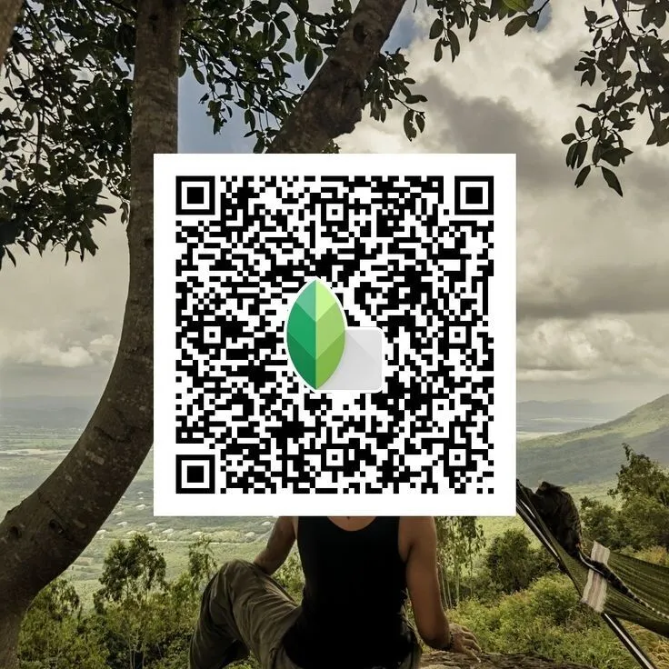 Aesthetic snapseed qr code