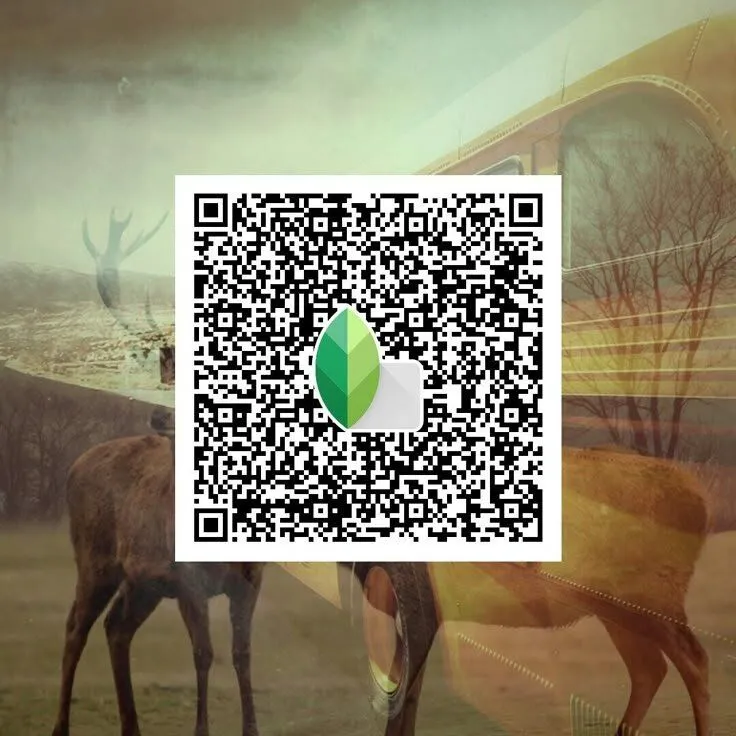 vintage qr code