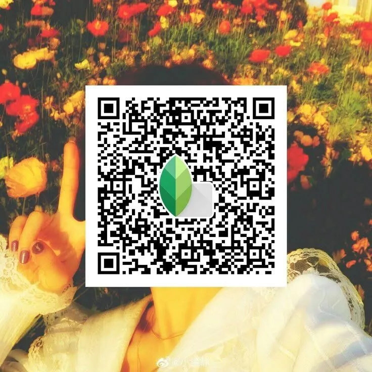 Aesthetic Snapseed qr  code