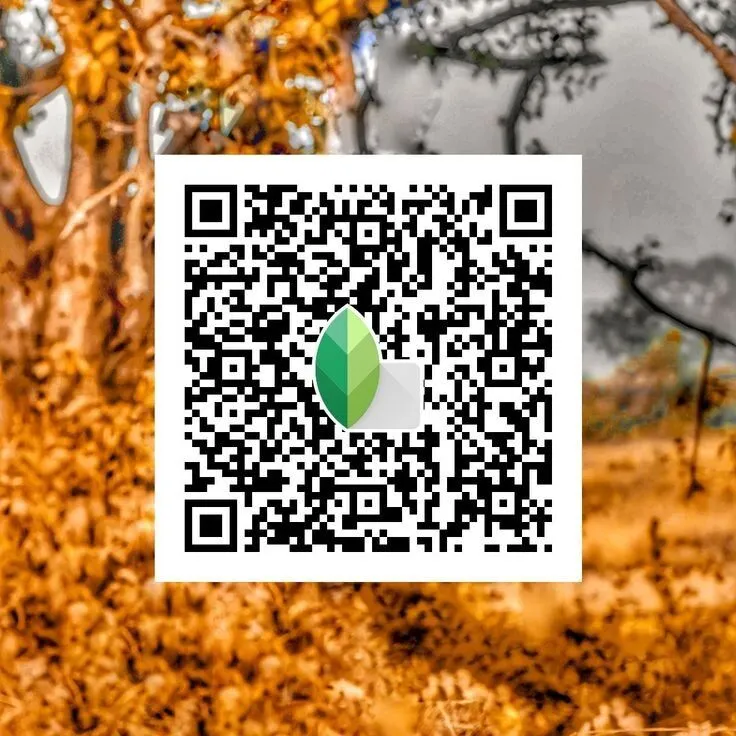 Vintage snapseed qr code