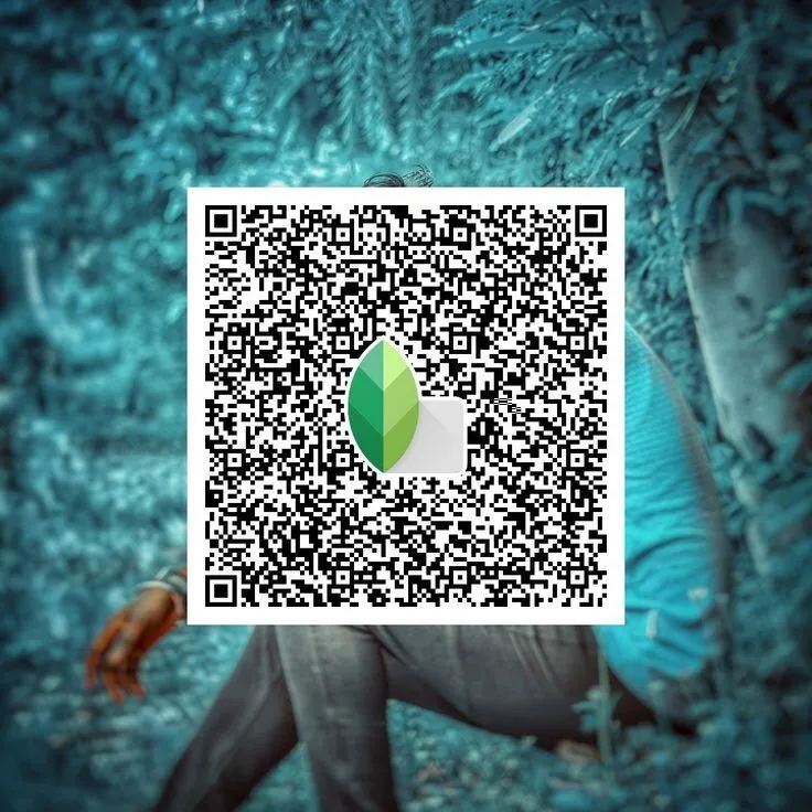 Snapseed QR Codes Filter Effects
