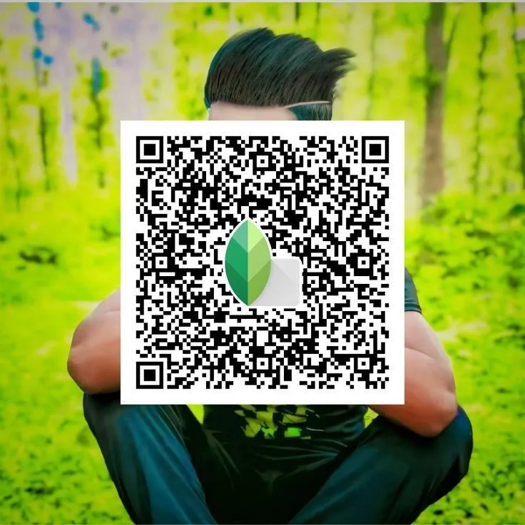 Snapseed QR Codes Filter Effects