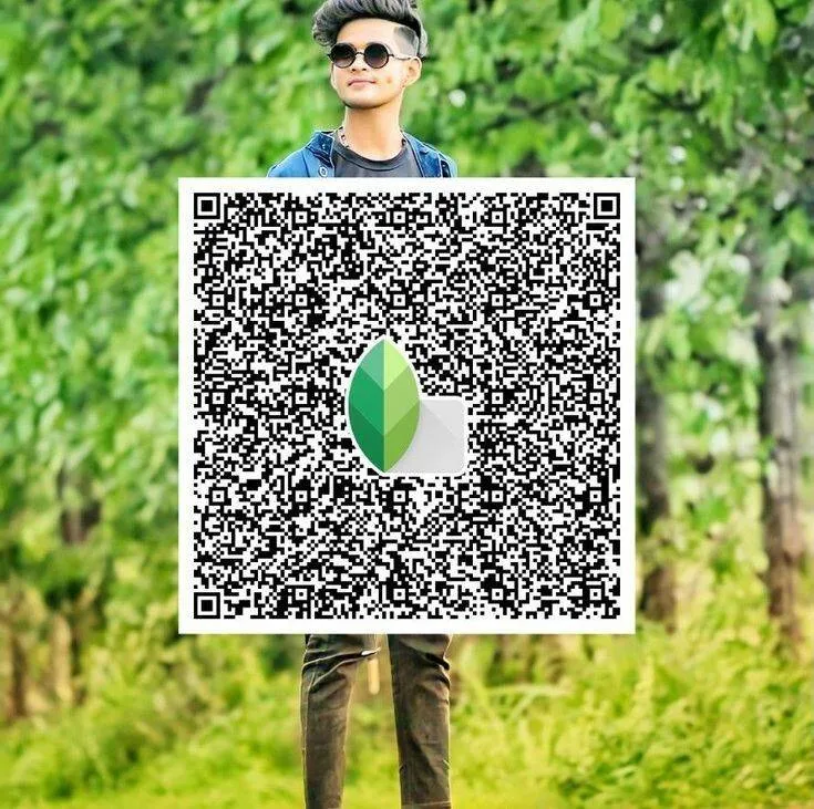 Snapseed QR Codes Filter Effects