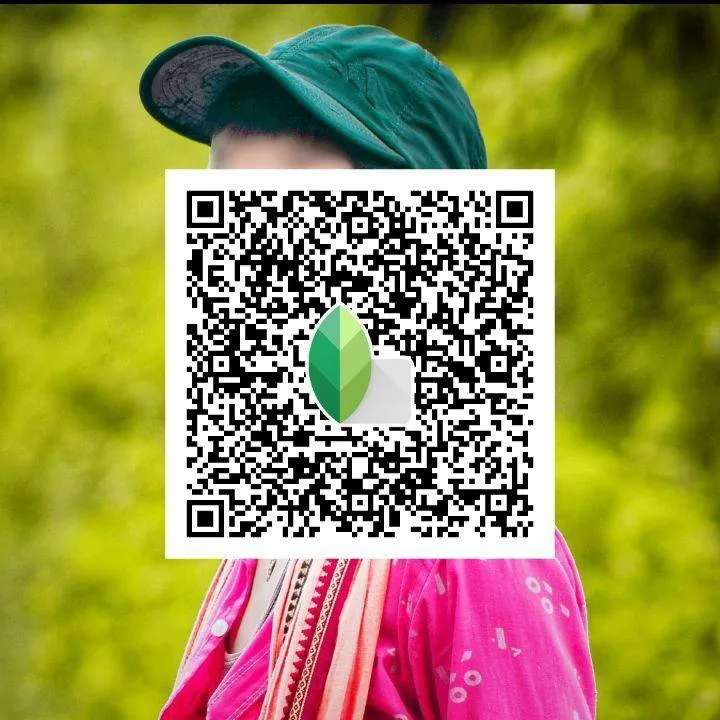 Snapseed QR Codes Filter Effects