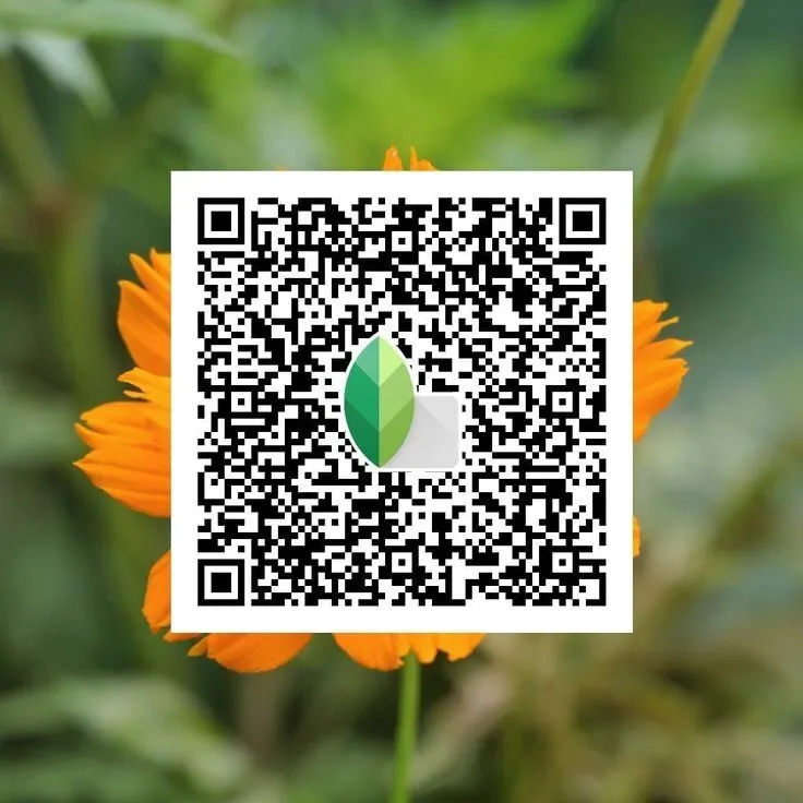 Snapseed QR Codes Filter Effects