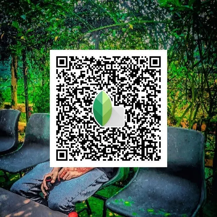 Snapseed QR Codes Filter Effects