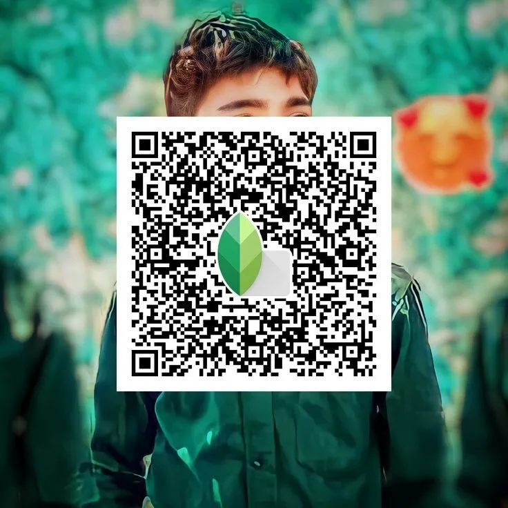 Snapseed QR Codes Filter Effects