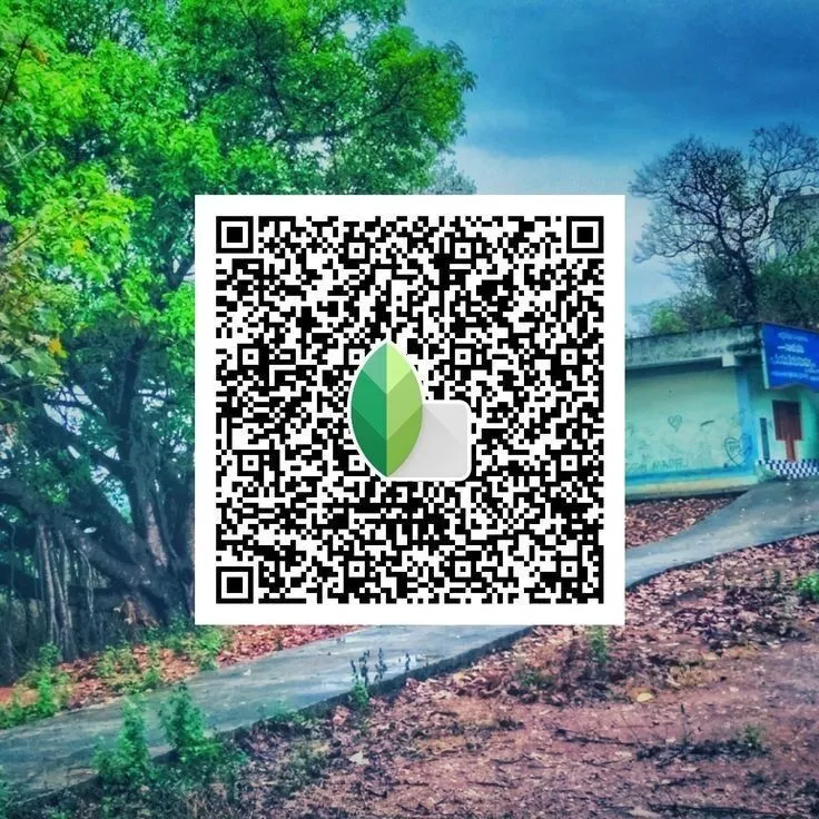 Snapseed QR Codes Filter Effects